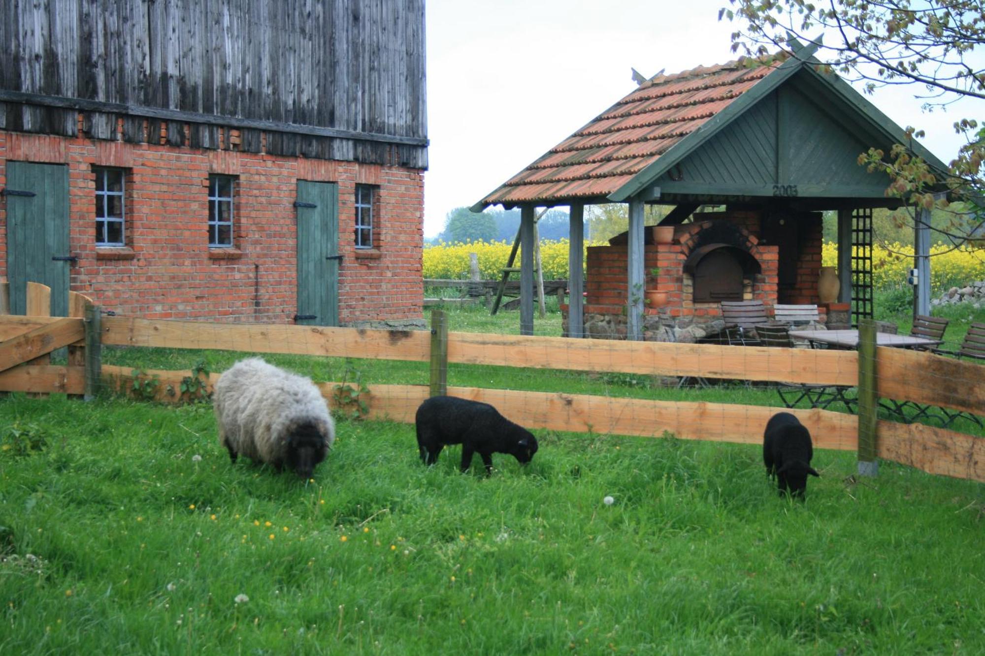 Ostseestuev Boiensdorf Zimmer foto