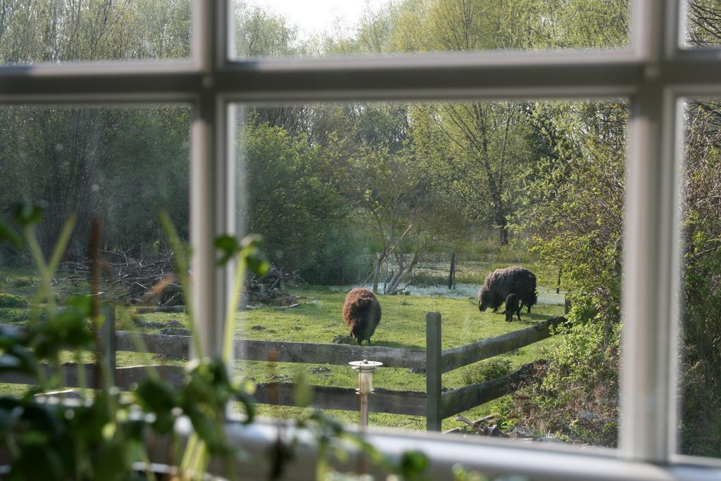 Ostseestuev Boiensdorf Zimmer foto